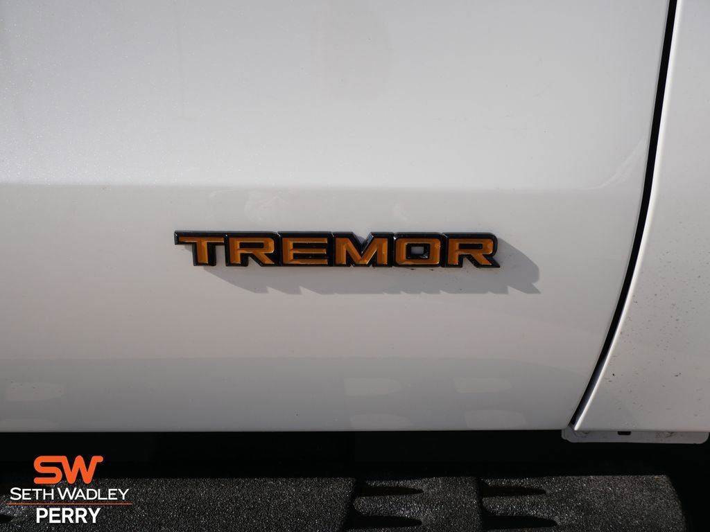 New 2026 Ford Expedition Tremor image 9