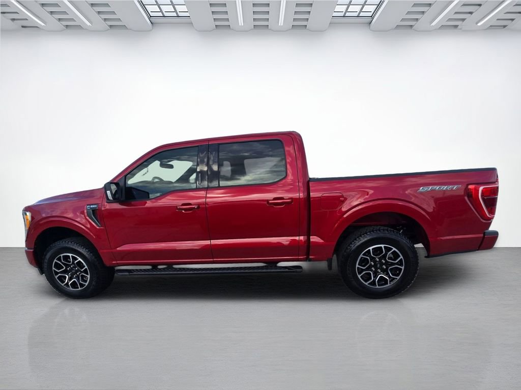 Used 2021 Ford F150 XLT w/ Equipment Group 302A High RWD image 6