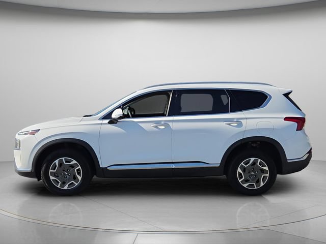 Used 2023 Hyundai Santa Fe Blue AWD/4WD image 3