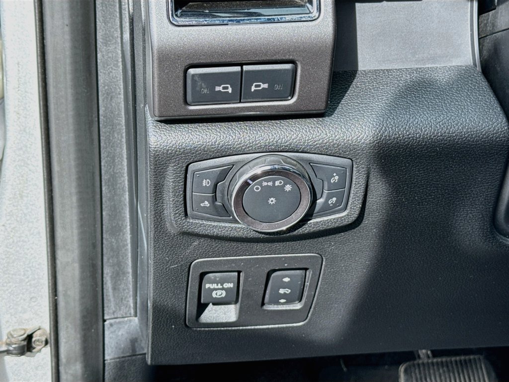 Used 2019 Ford F150 XLT w/ Equipment Group 302A Luxury AWD/4WD image 10