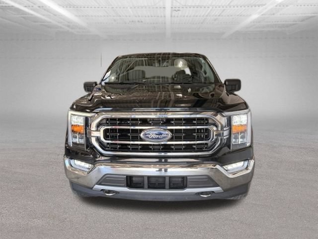 Used 2021 Ford F150 XLT w/ Equipment Group 302A High AWD/4WD image 2