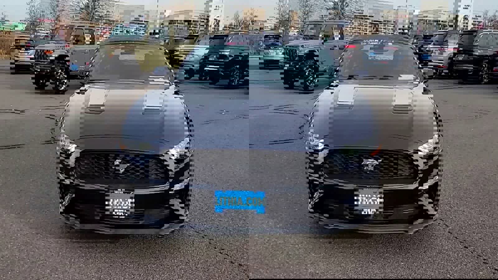 Used 2021 Ford Mustang Coupe w/ Equipment Group 101A image 3