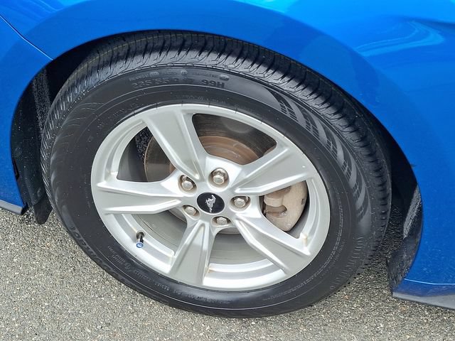 Used 2021 Ford Mustang Coupe RWD image 8