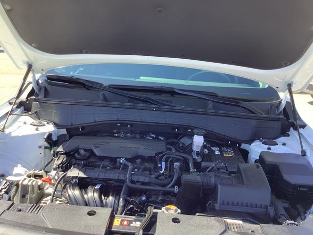 Used 2024 Hyundai Kona SEL w/ Convenience Package FWD image 12