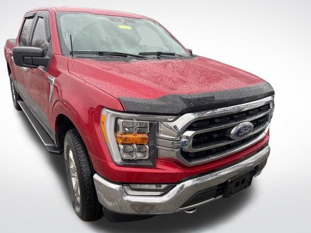 Used 2021 Ford F150 XLT w/ Equipment Group 302A High image 3