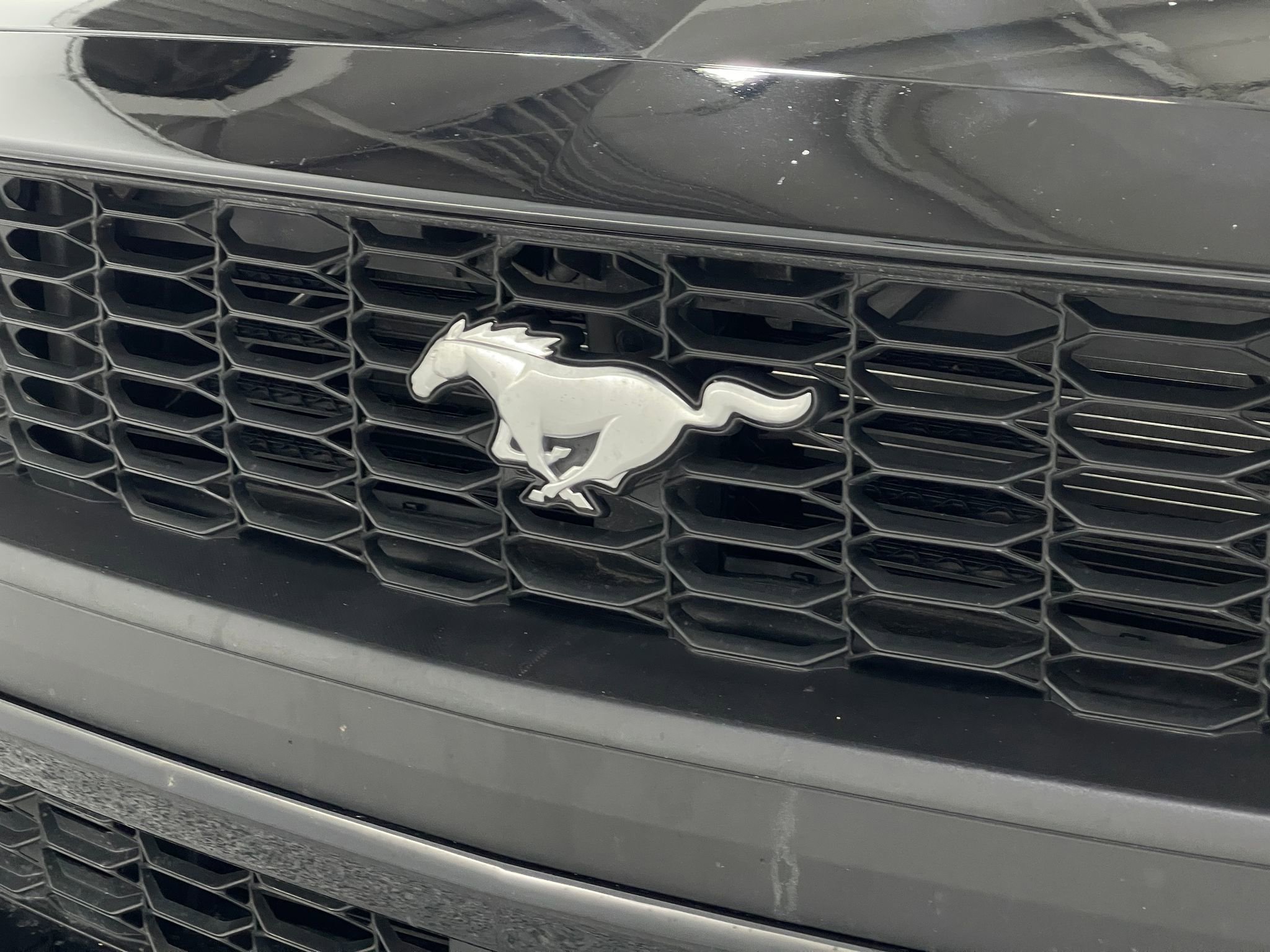 Used 2026 Ford Mustang Coupe image 37