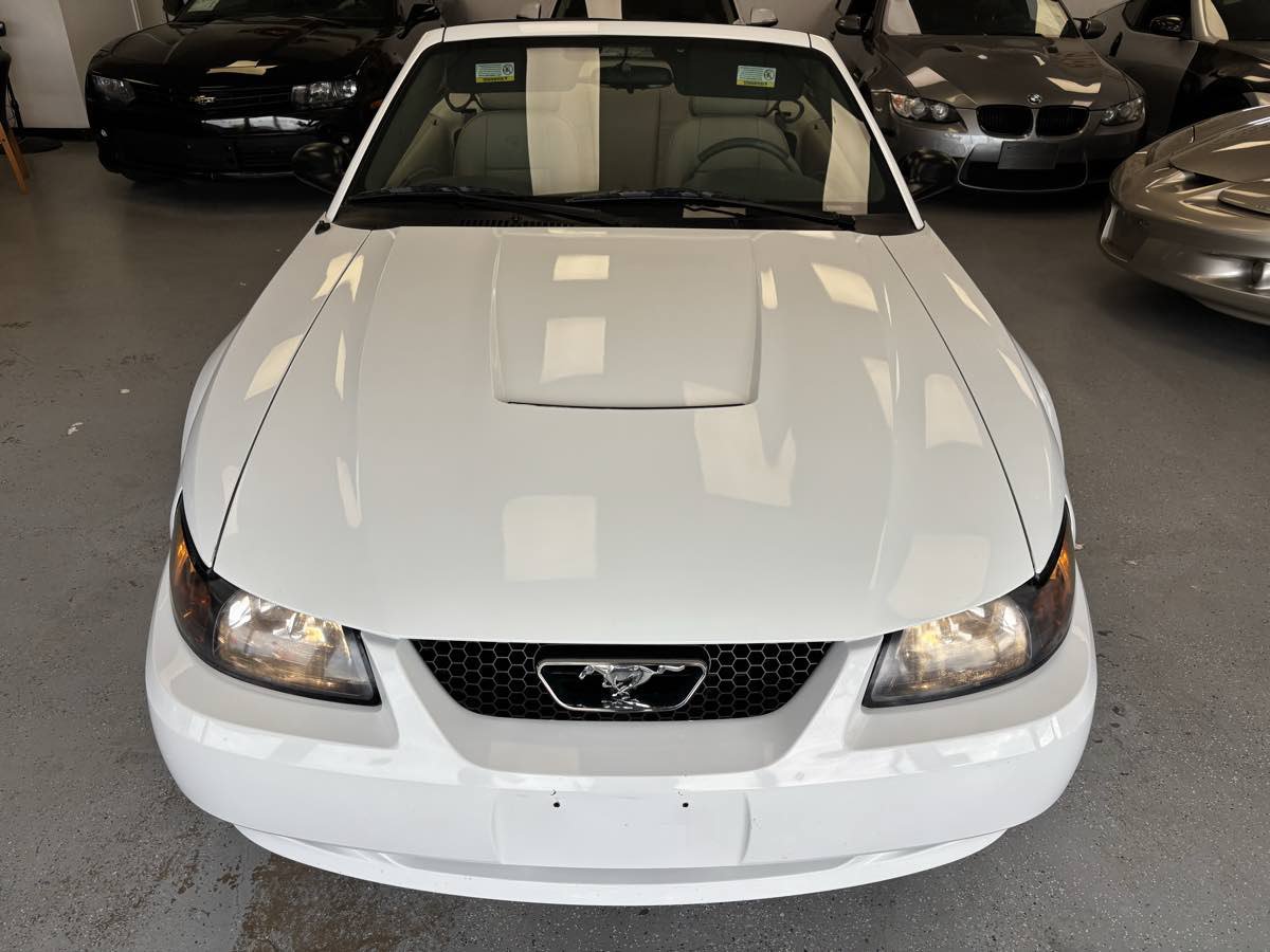 Used 2003 Ford Mustang Convertible RWD image 13