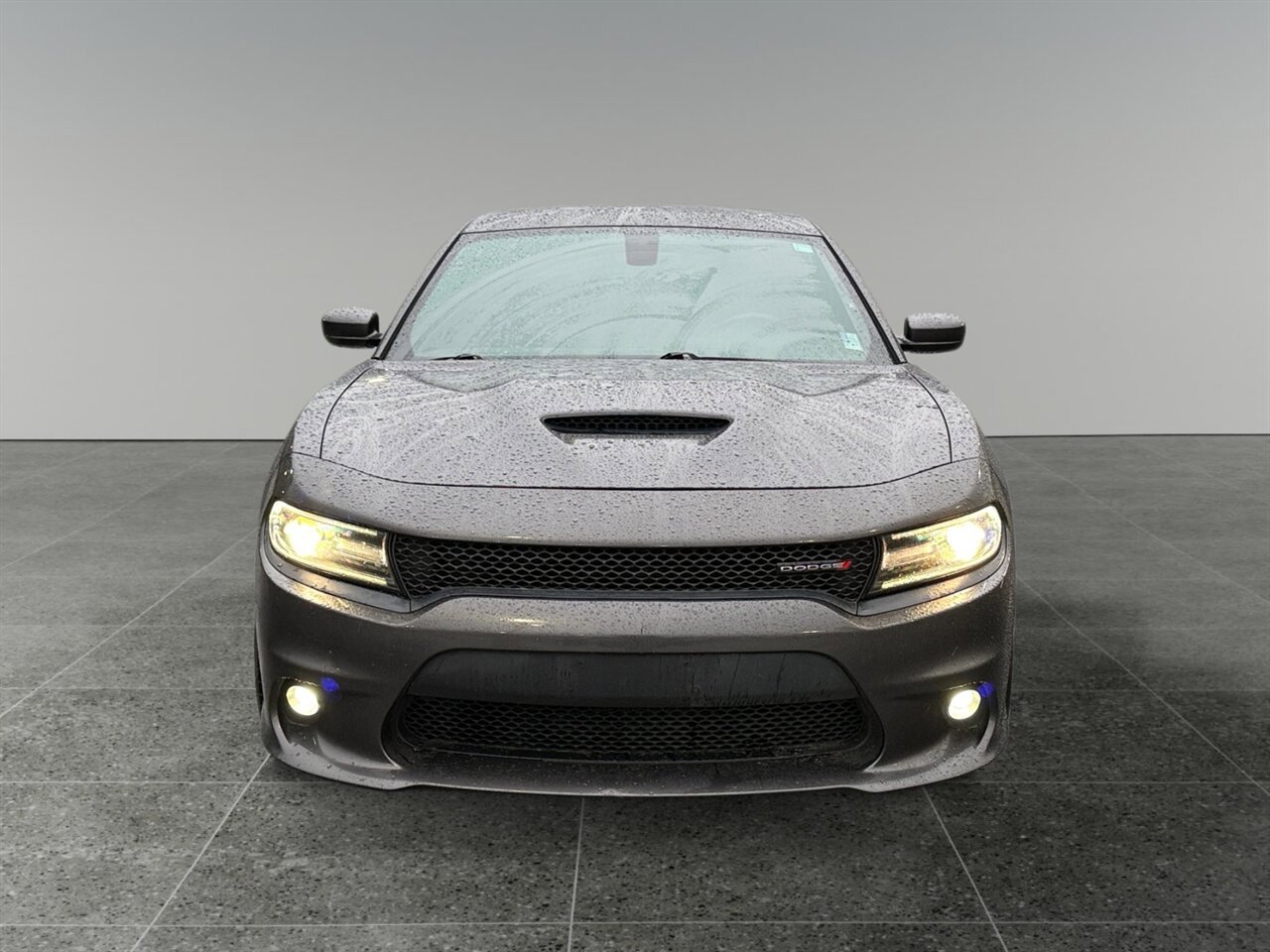 Used 2019 Dodge Charger GT w/ Plus Group RWD image 9