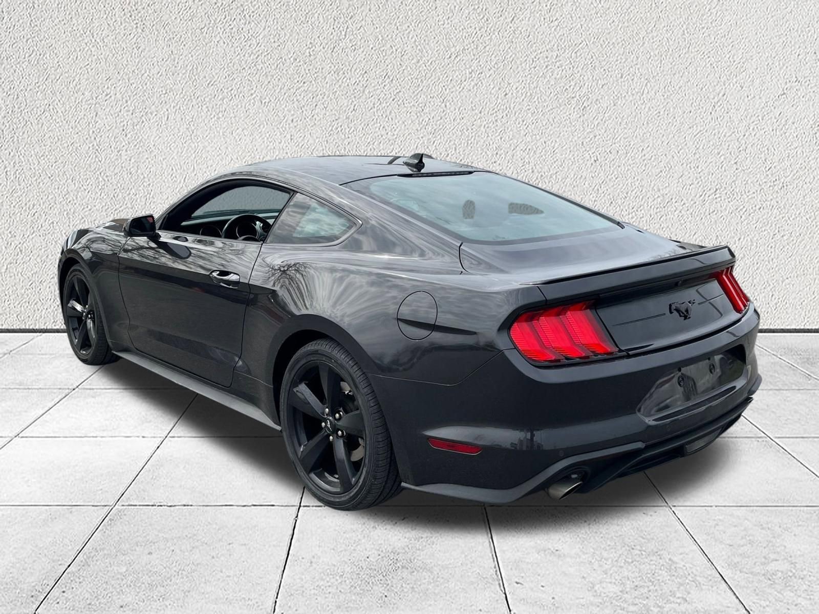 Used 2023 Ford Mustang Premium w/ Mustang Nite Pony Package image 6