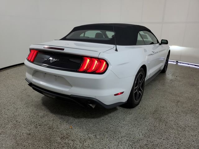 Used 2023 Ford Mustang Premium w/ Equipment Group 201A image 5