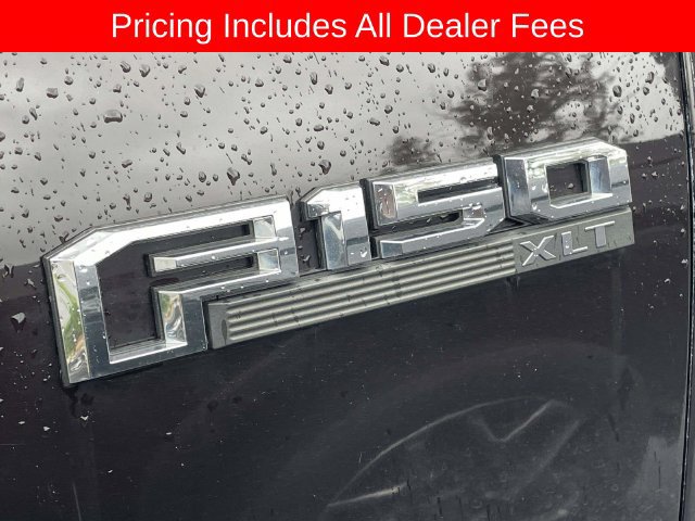 Used 2019 Ford F150 XLT w/ Equipment Group 302A Luxury AWD/4WD image 4