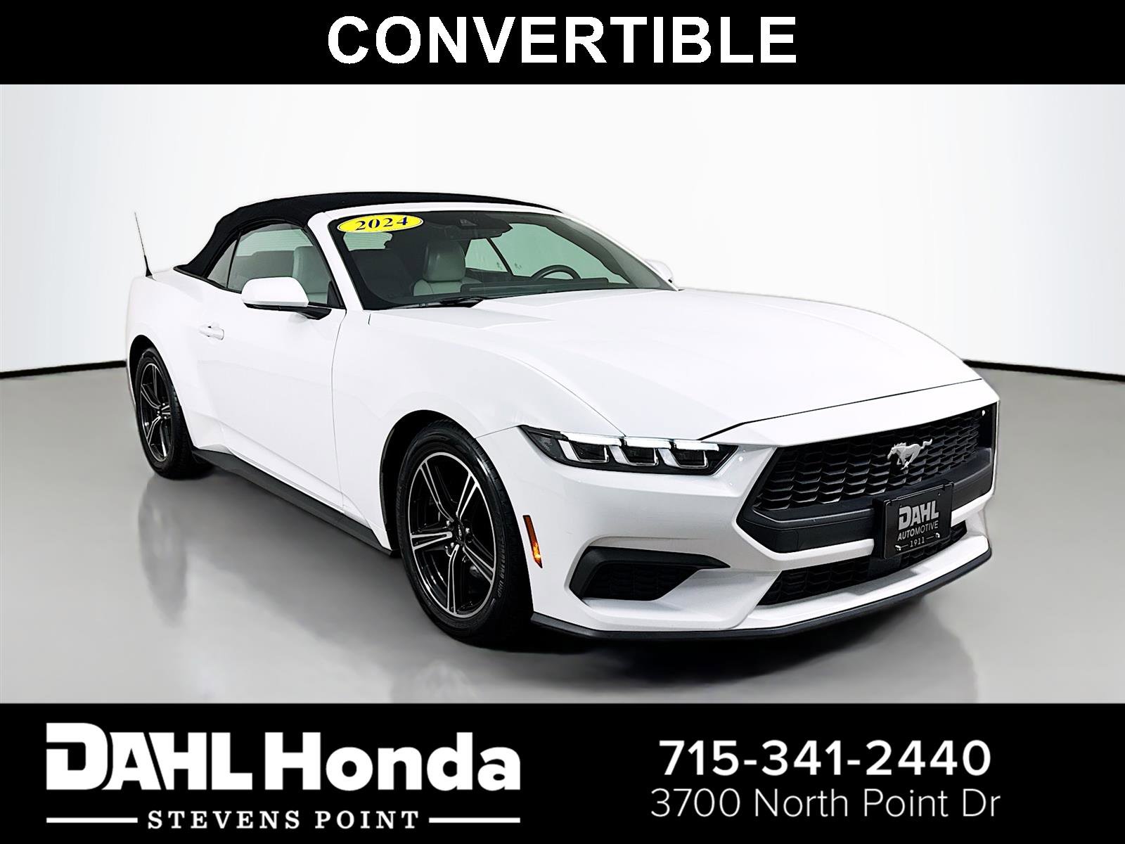 Used 2024 Ford Mustang Premium image 1