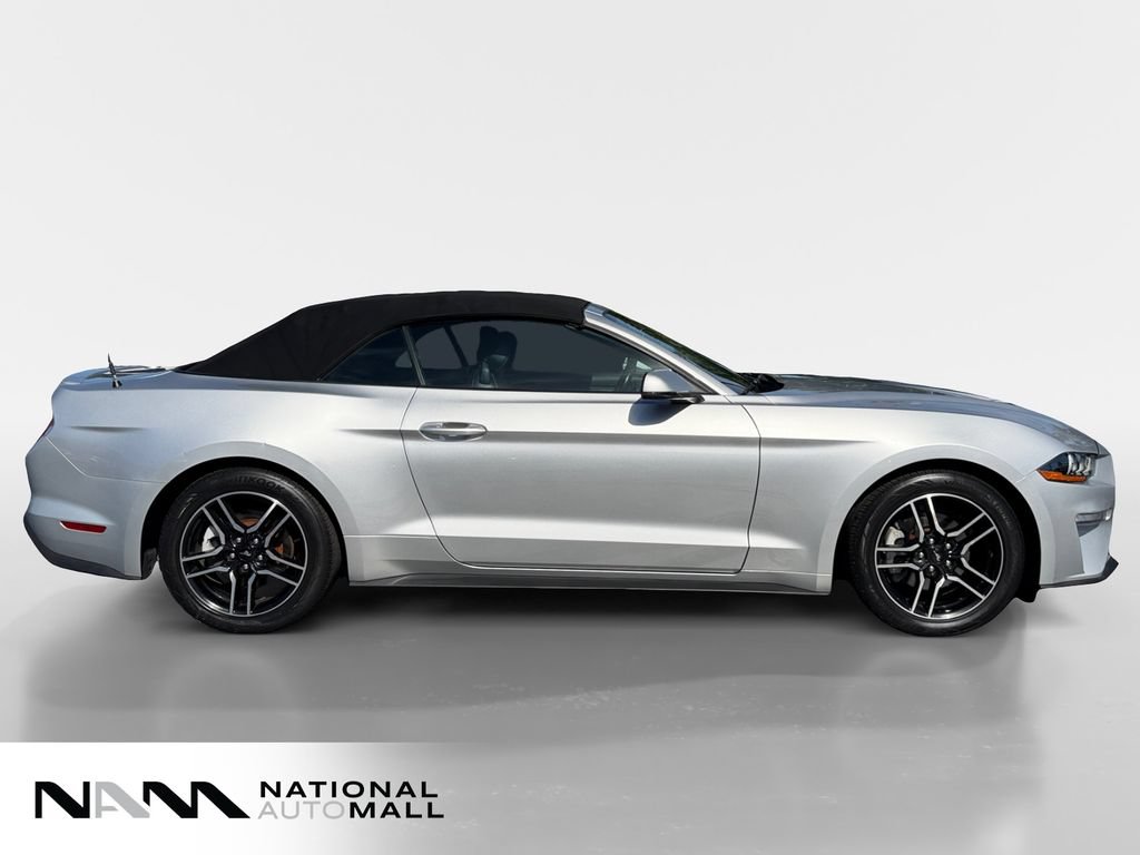 Used 2019 Ford Mustang Premium RWD image 6