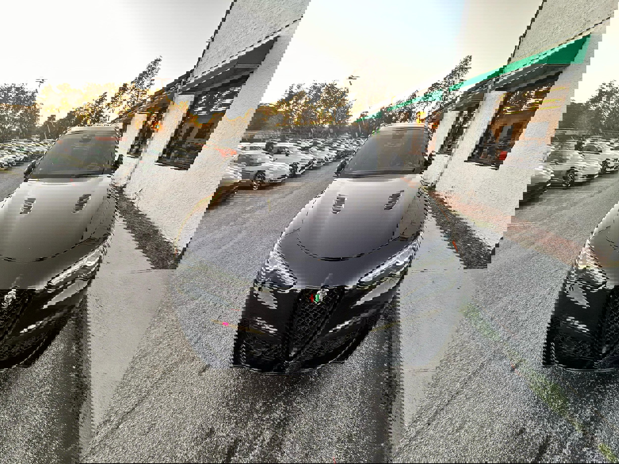 Used 2022 Alfa Romeo Stelvio Quadrifoglio w/ Active Assist Plus Package image 1