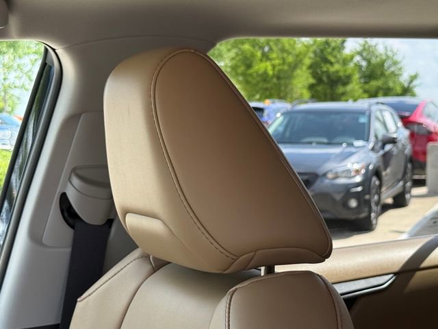 Used 2025 Toyota RAV4 XLE Premium image 16