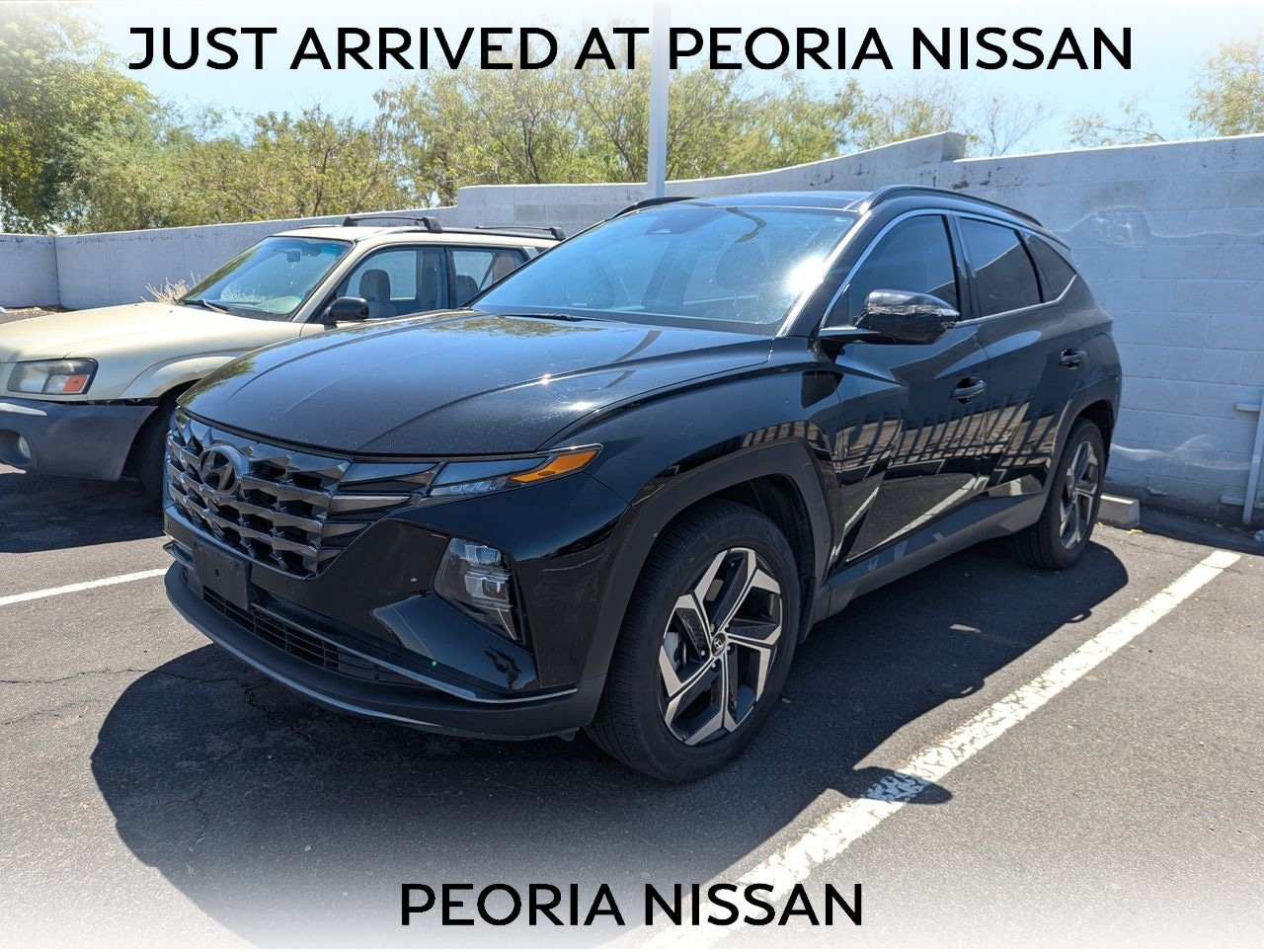 Used 2022 Hyundai Tucson Limited AWD/4WD image 1