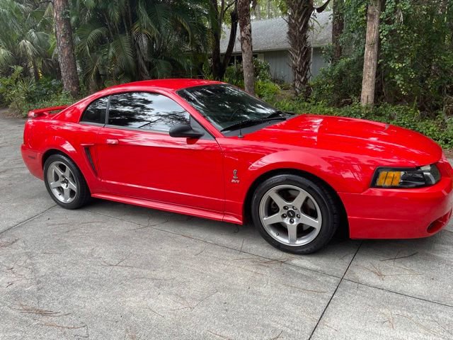 Used 2001 Ford Mustang Cobra RWD image 3