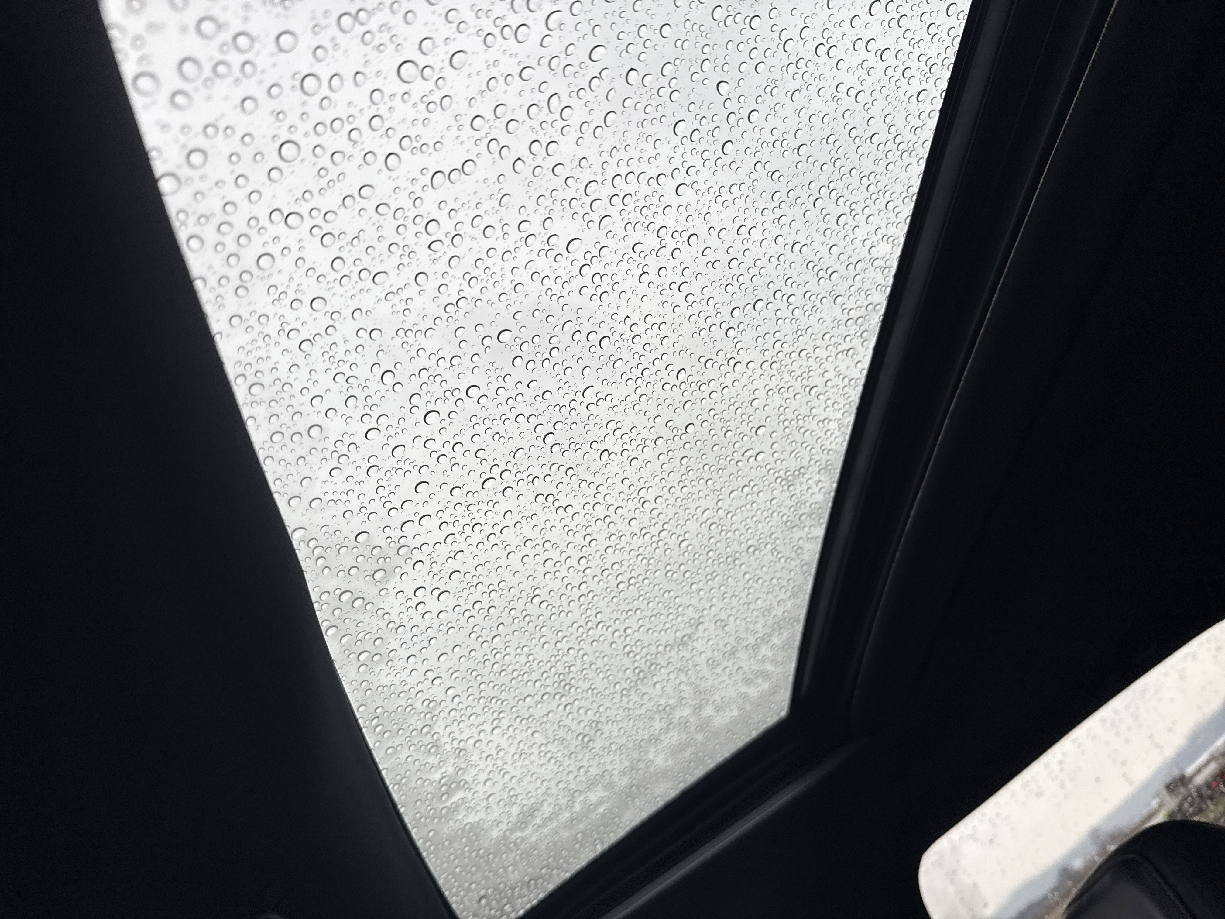 Used 2020 Toyota Tacoma TRD Pro image 27