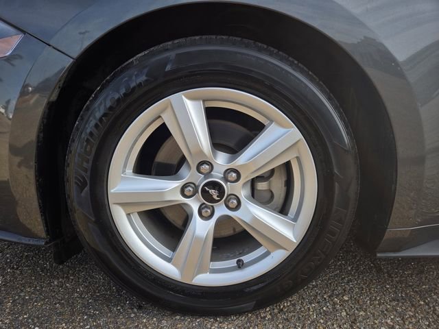 Used 2019 Ford Mustang EcoBoost image 25