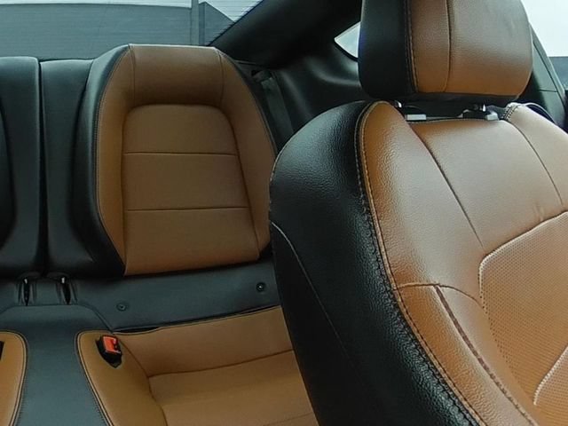 Used 2019 Ford Mustang GT Premium w/ Black Accent Package RWD image 34