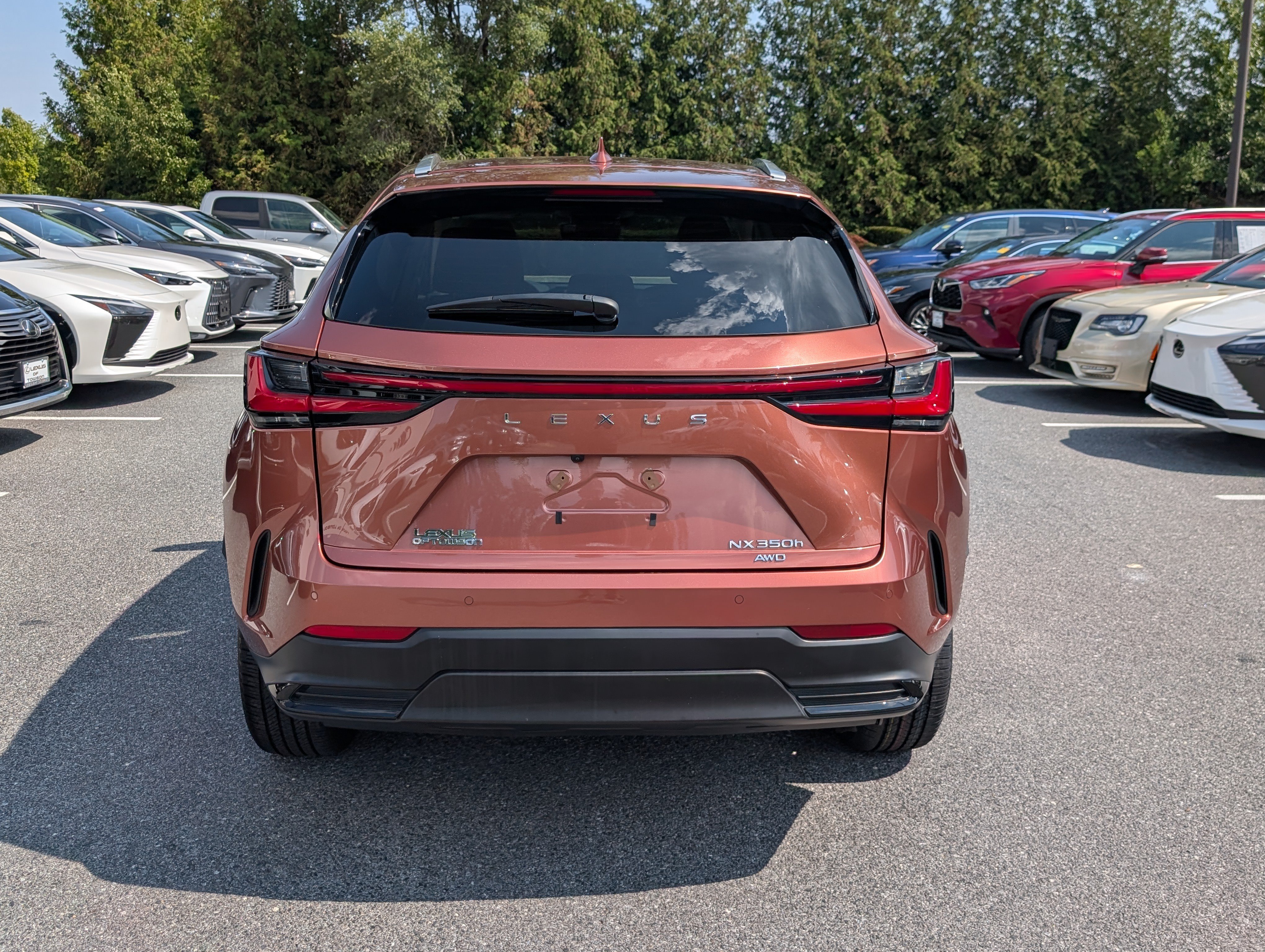 Certified 2025 Lexus NX 350h AWD w/ Cold Area Package image 4