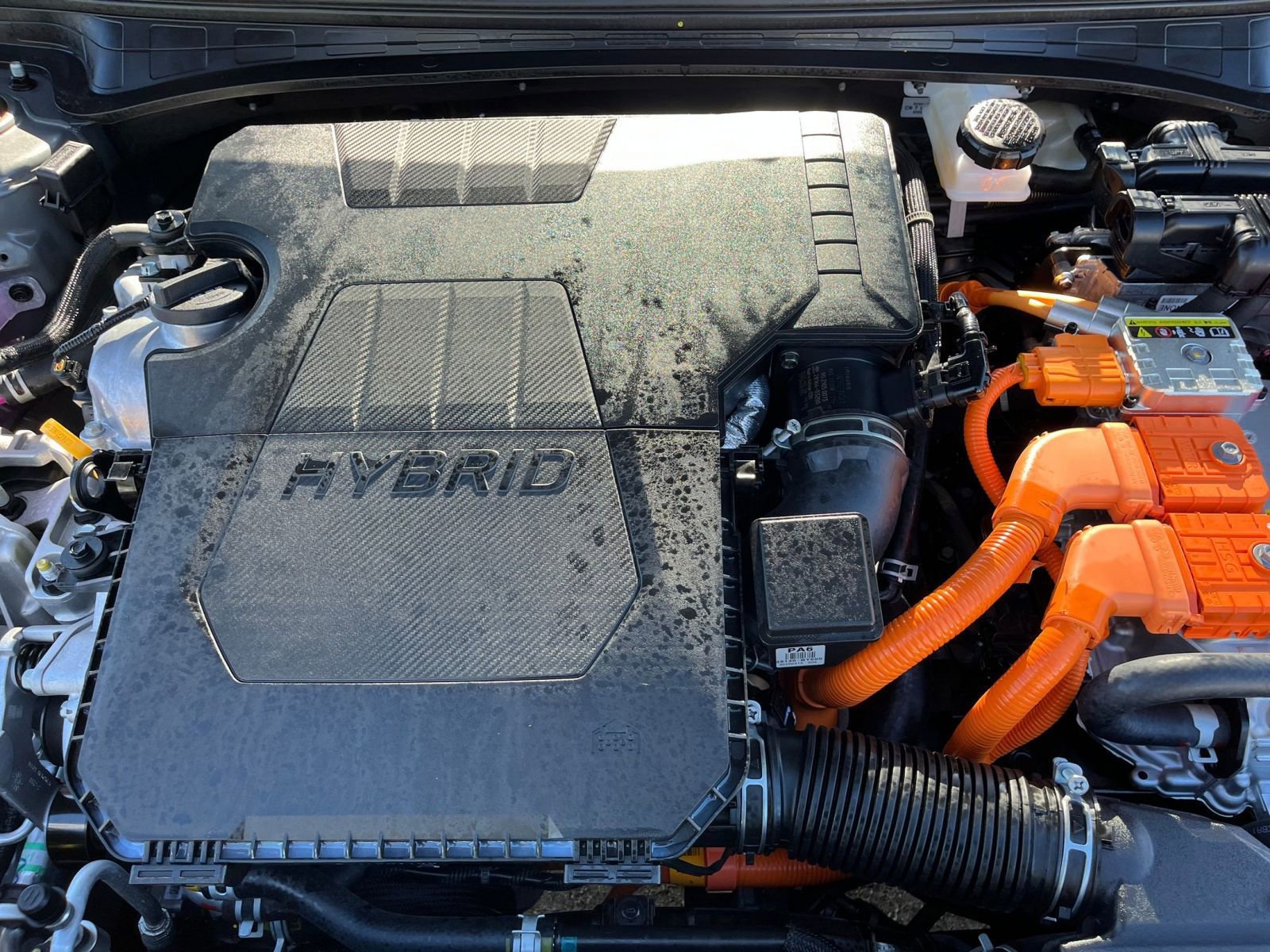 Used 2025 Hyundai Elantra Limited image 33