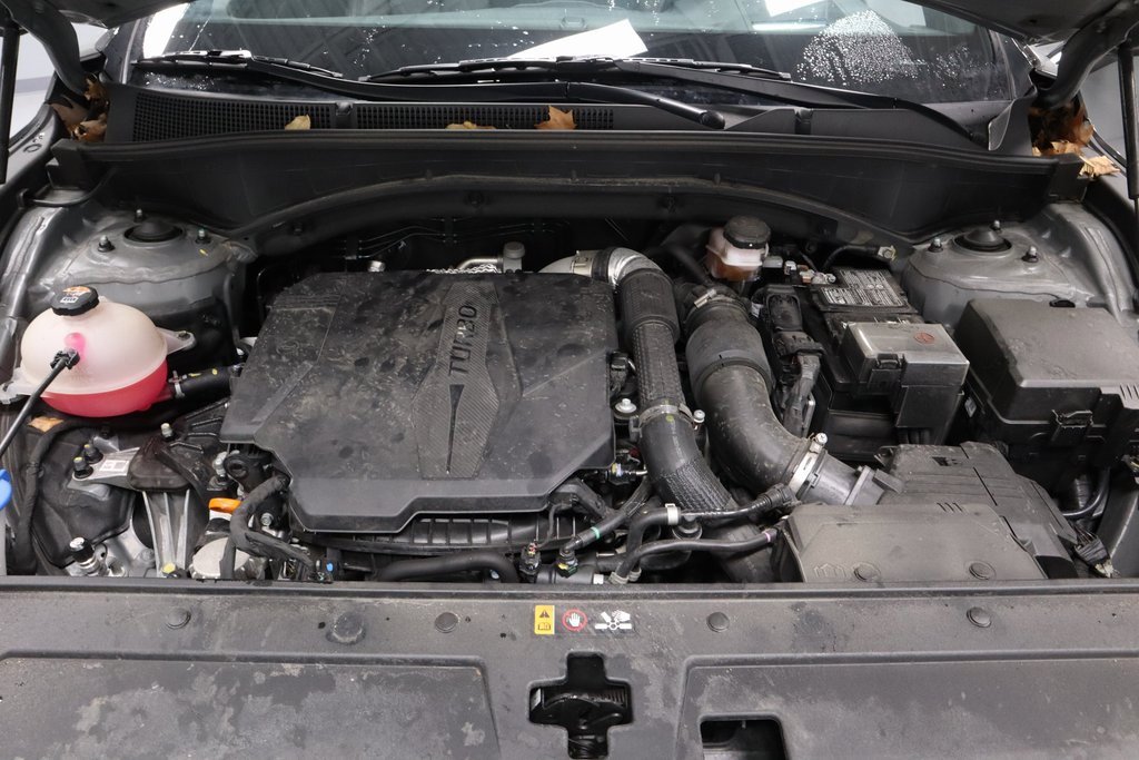 Used 2023 Hyundai Santa Fe Calligraphy image 15