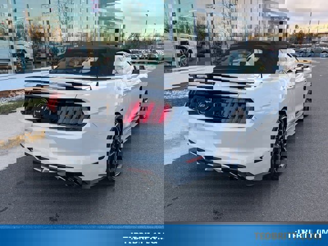 Used 2017 Ford Mustang GT Premium w/ Equipment Group 401A image 14