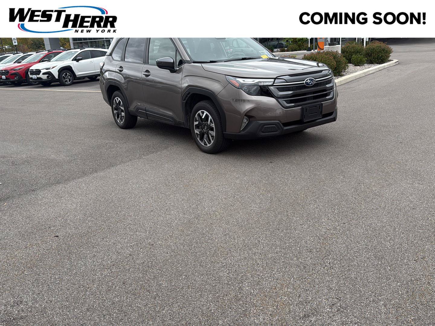 Used 2025 Subaru Forester Premium AWD/4WD image 1