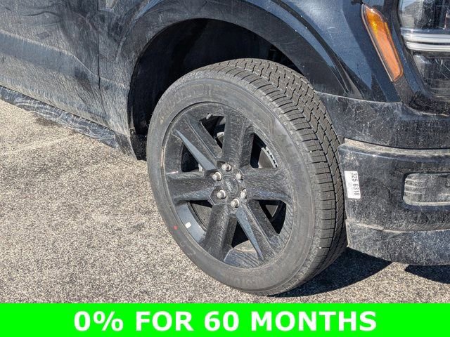 New 2025 Ford F150 STX w/ LOBO Package image 11