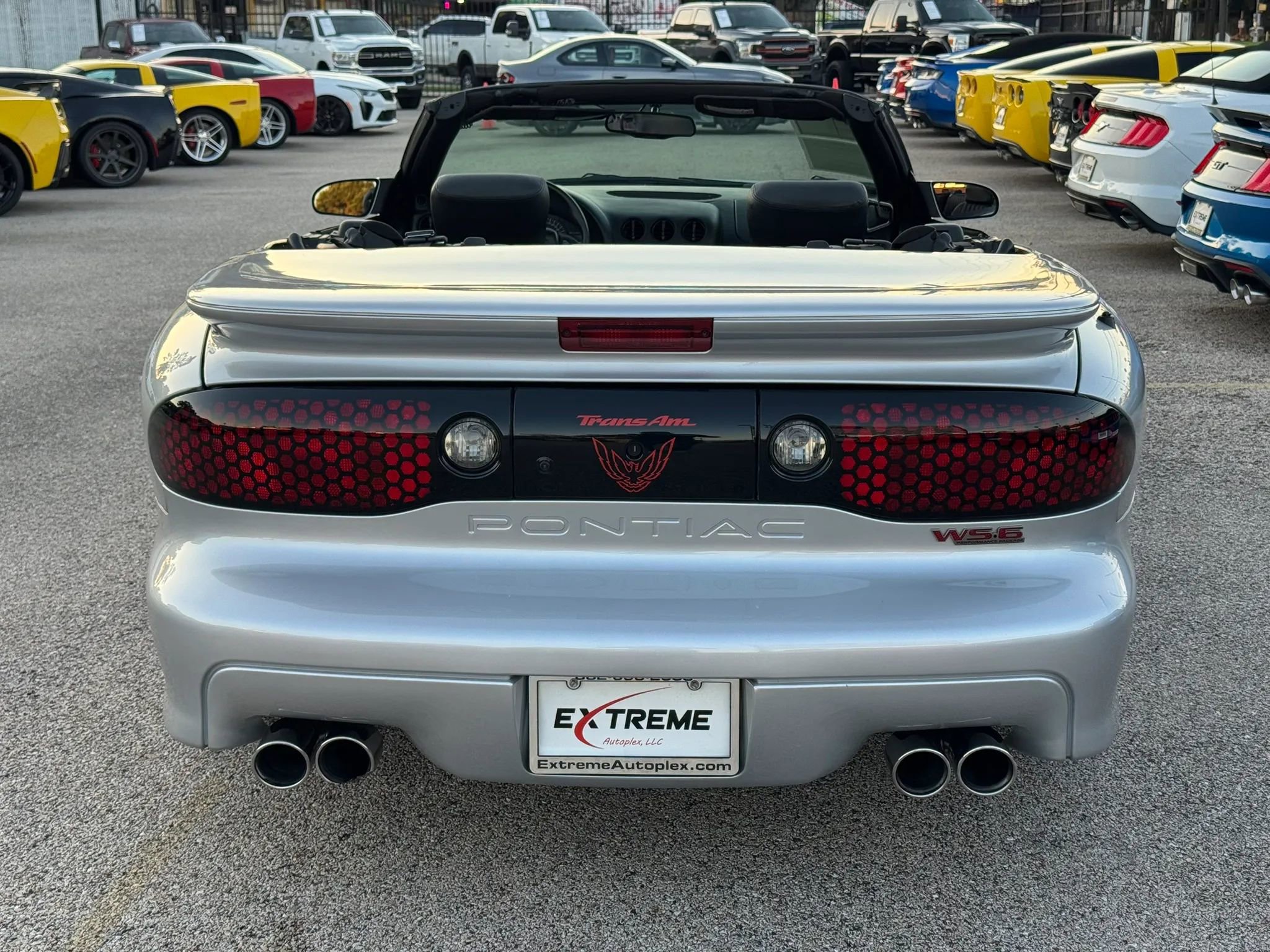 Used 2000 Pontiac Firebird Trans Am RWD image 5