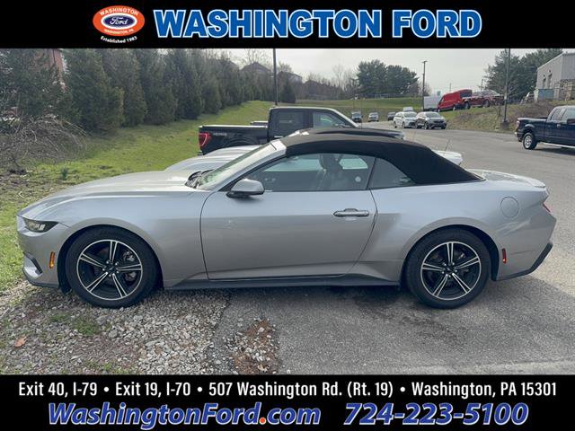 Used 2024 Ford Mustang Premium image 1