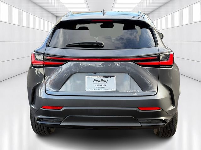 Certified 2023 Lexus NX 250 AWD image 6
