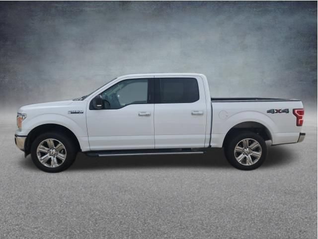 Used 2019 Ford F150 XLT w/ Equipment Group 302A Luxury AWD/4WD image 3