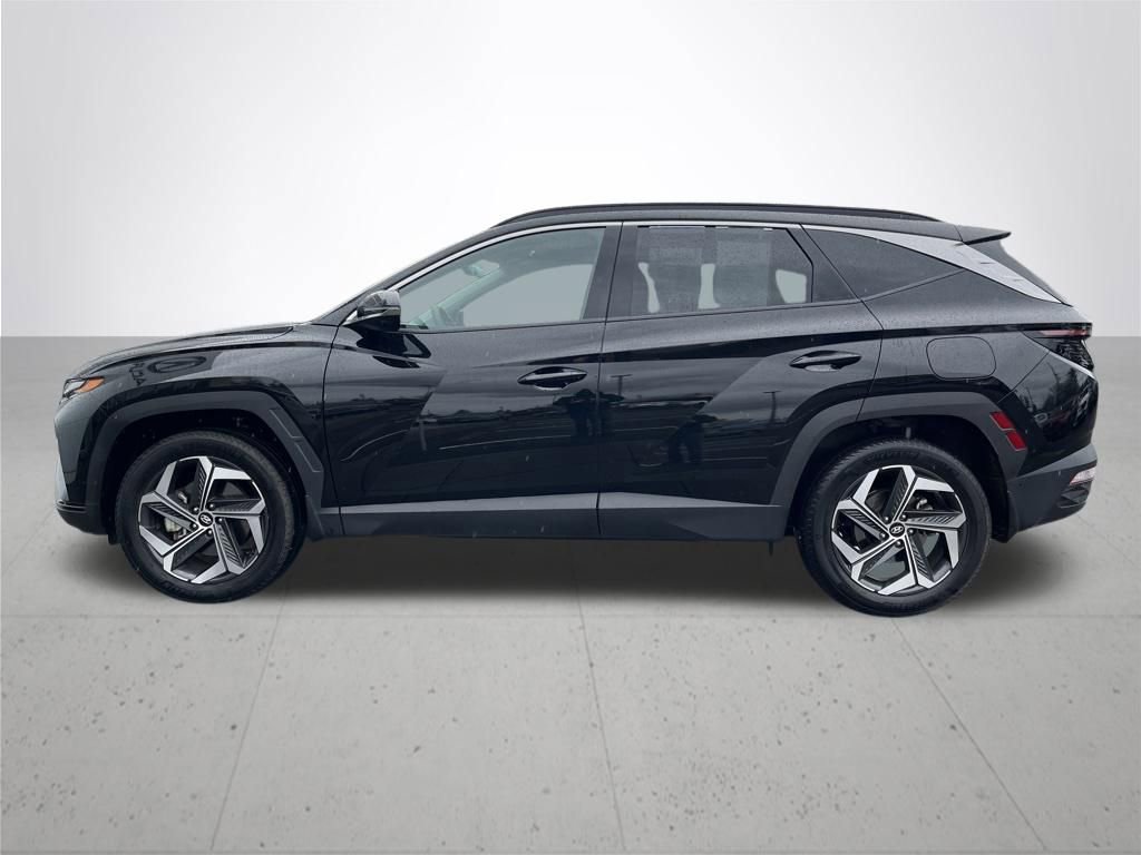 Used 2023 Hyundai Tucson Limited image 8