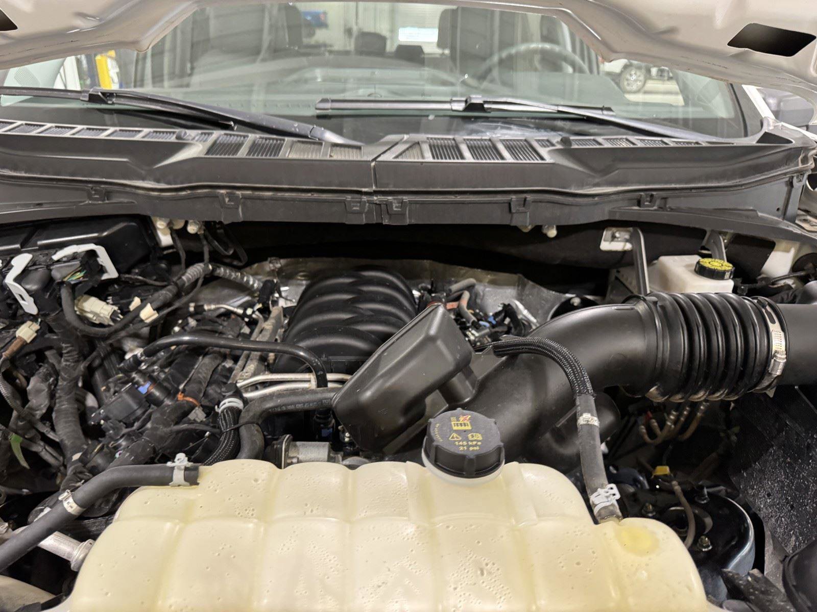 Used 2025 Ford F150 XL image 29