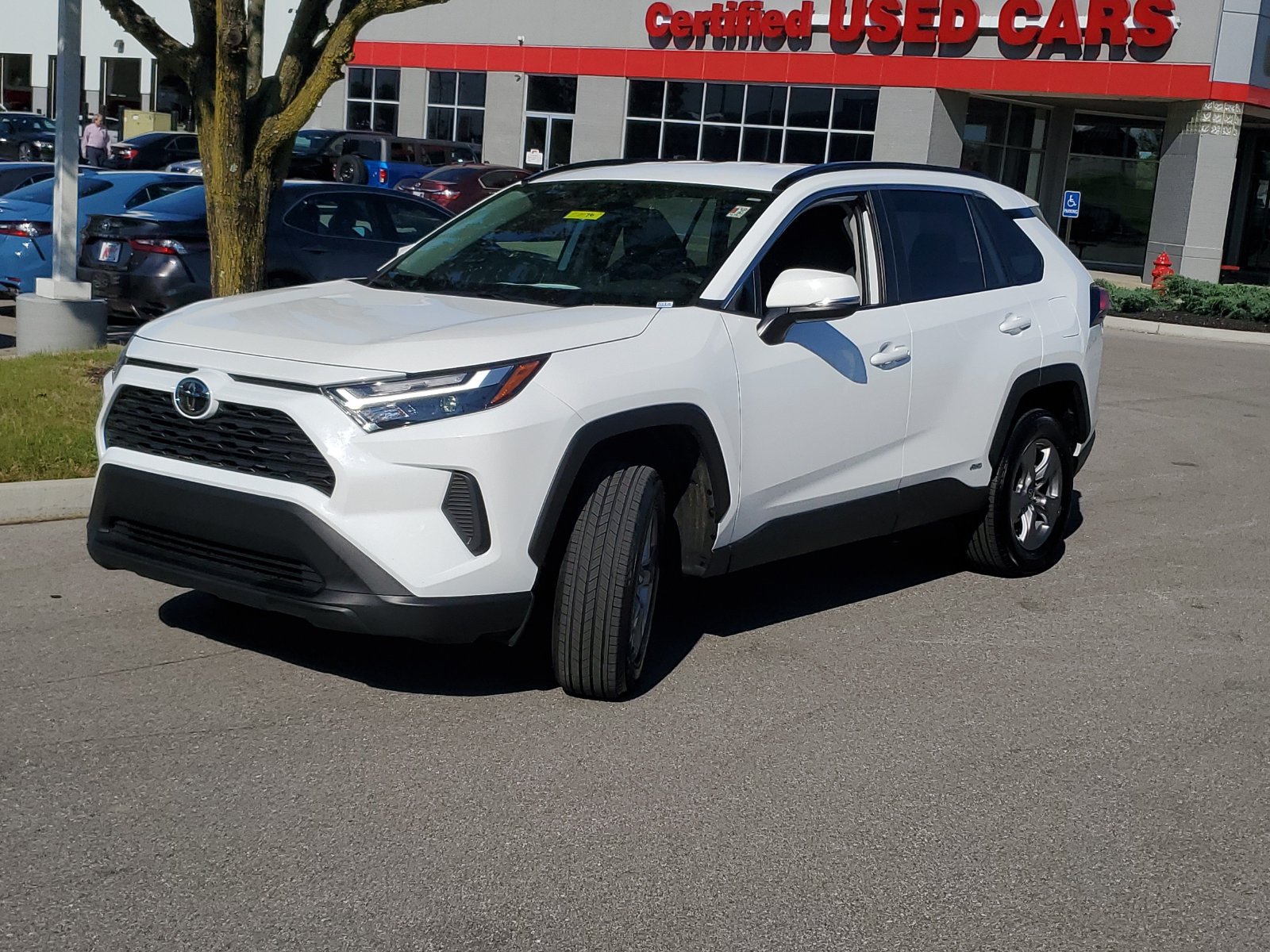 Certified 2025 Toyota RAV4 XLE AWD/4WD image 2