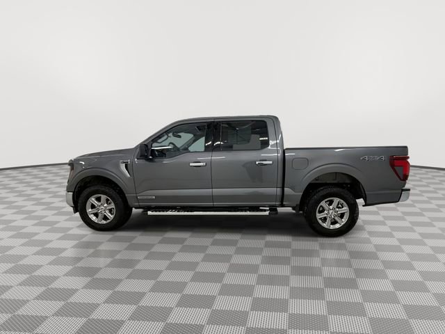 Used 2025 Ford F150 XLT w/ Equipment Group 301A Standard image 6