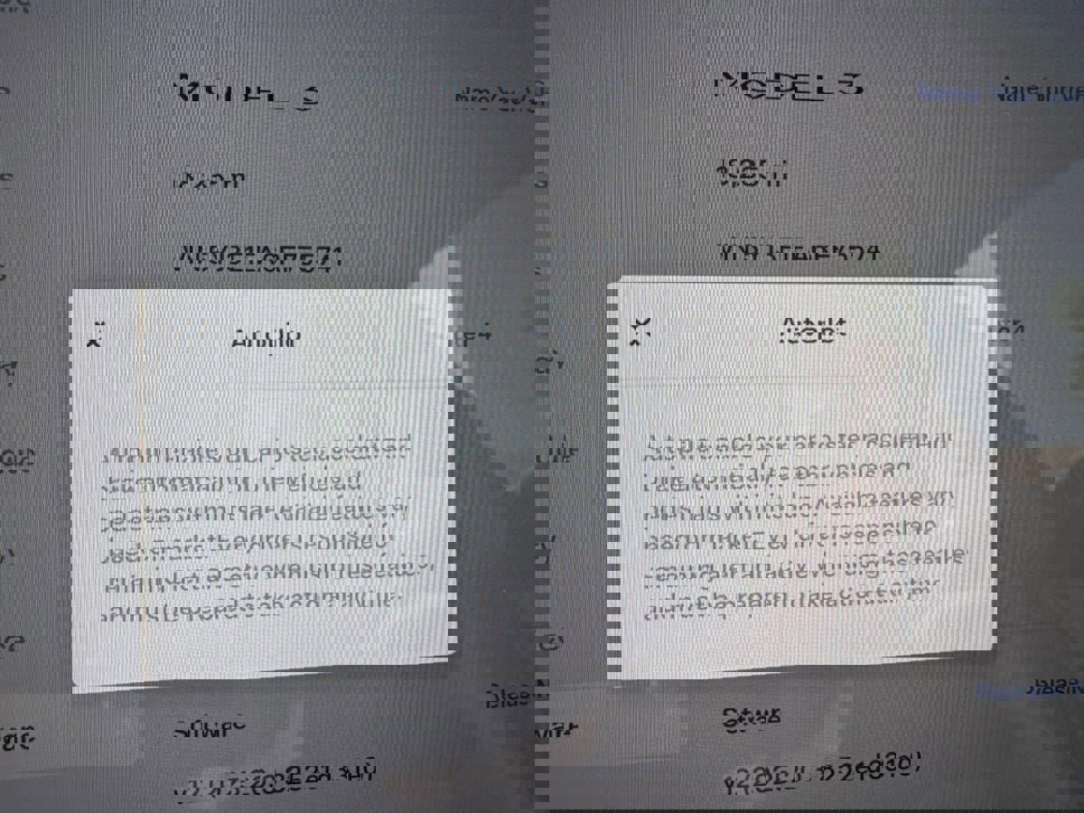 Used 2024 Tesla Model 3 Standard Range image 20