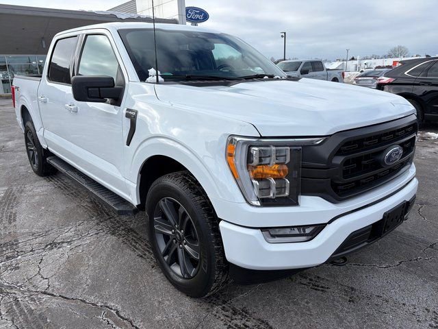 Used 2023 Ford F150 XLT w/ Equipment Group 302A High image 7