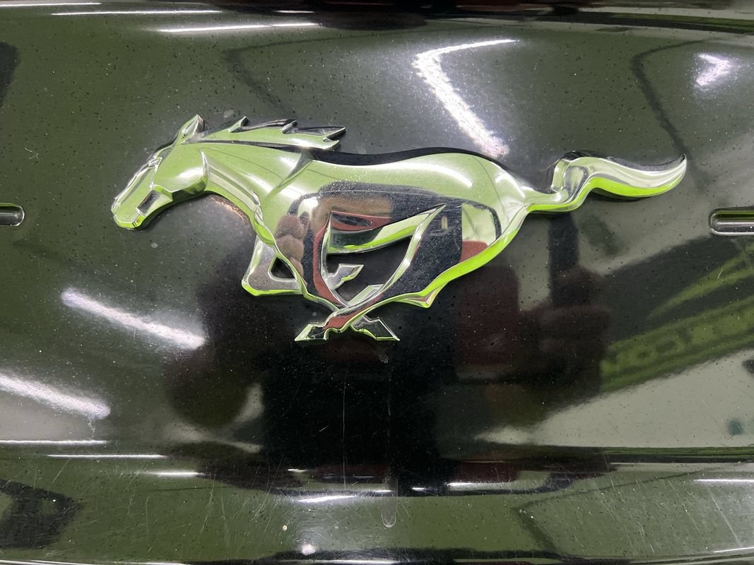 Used 2023 Ford Mustang Premium RWD image 14