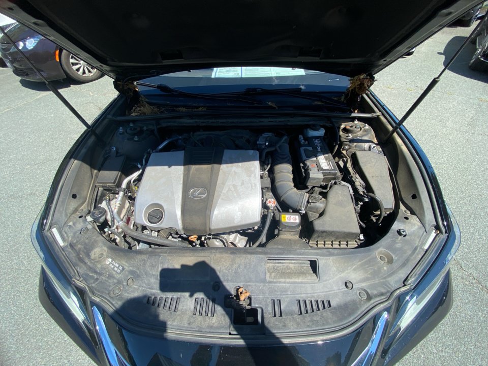 Used 2019 Lexus ES 350 w/ Premium Package FWD image 20
