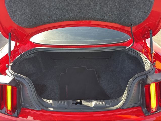 Used 2019 Ford Mustang GT Premium w/ California Special Package image 18