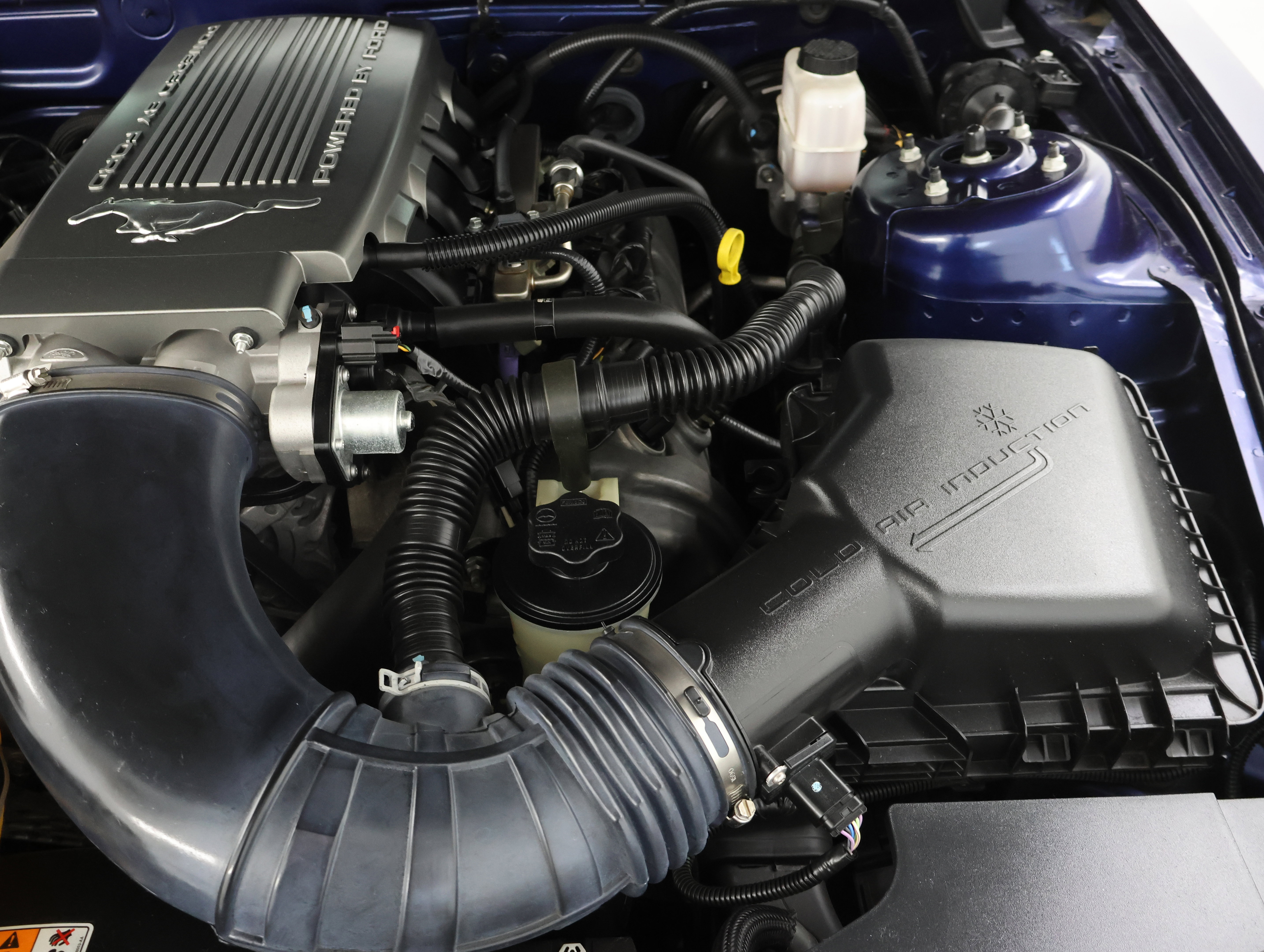 Used 2010 Ford Mustang GT Premium RWD image 16