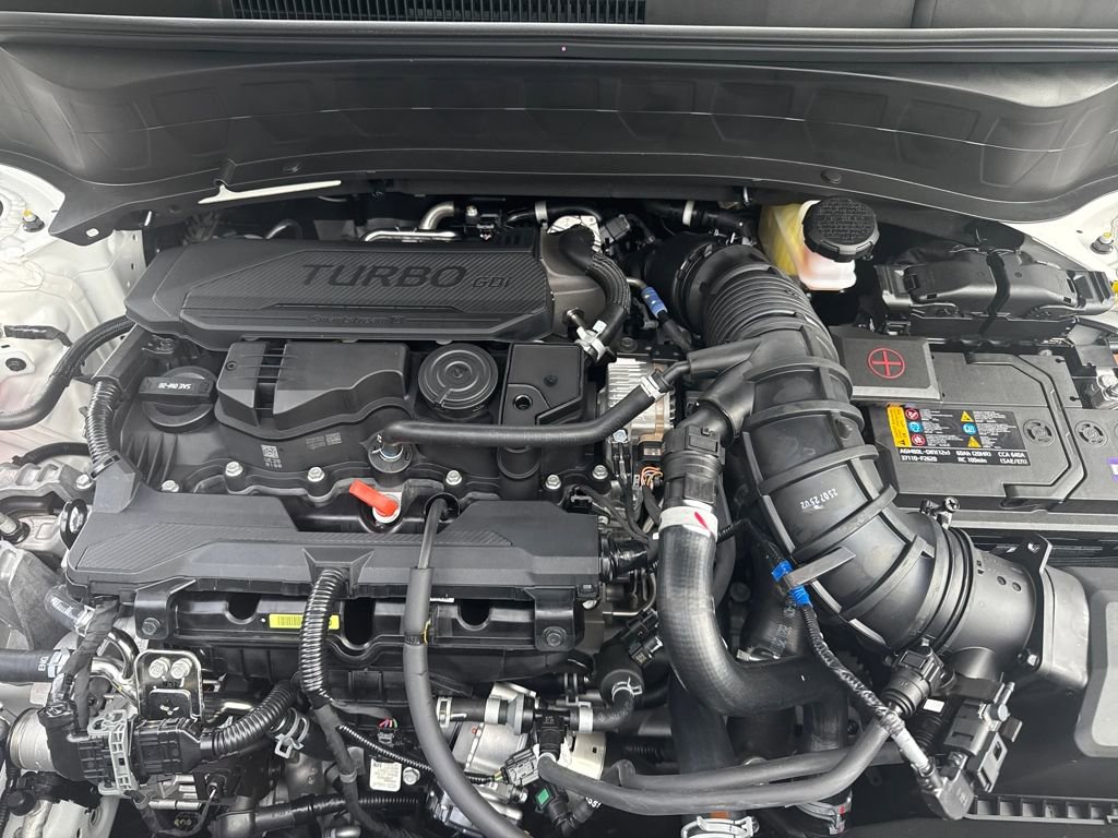 New 2026 Kia Seltos SX w/ SX Sunroof Package image 16