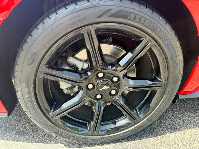 Used 2019 Ford Mustang GT w/ Equipment Group 301A RWD image 37