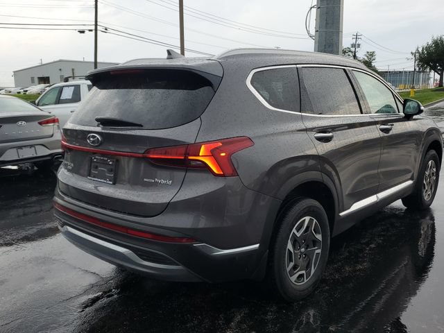 Used 2022 Hyundai Santa Fe Blue AWD/4WD image 4