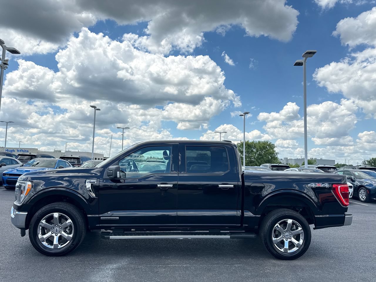 Used 2023 Ford F150 XLT w/ Equipment Group 302A High AWD/4WD image 6
