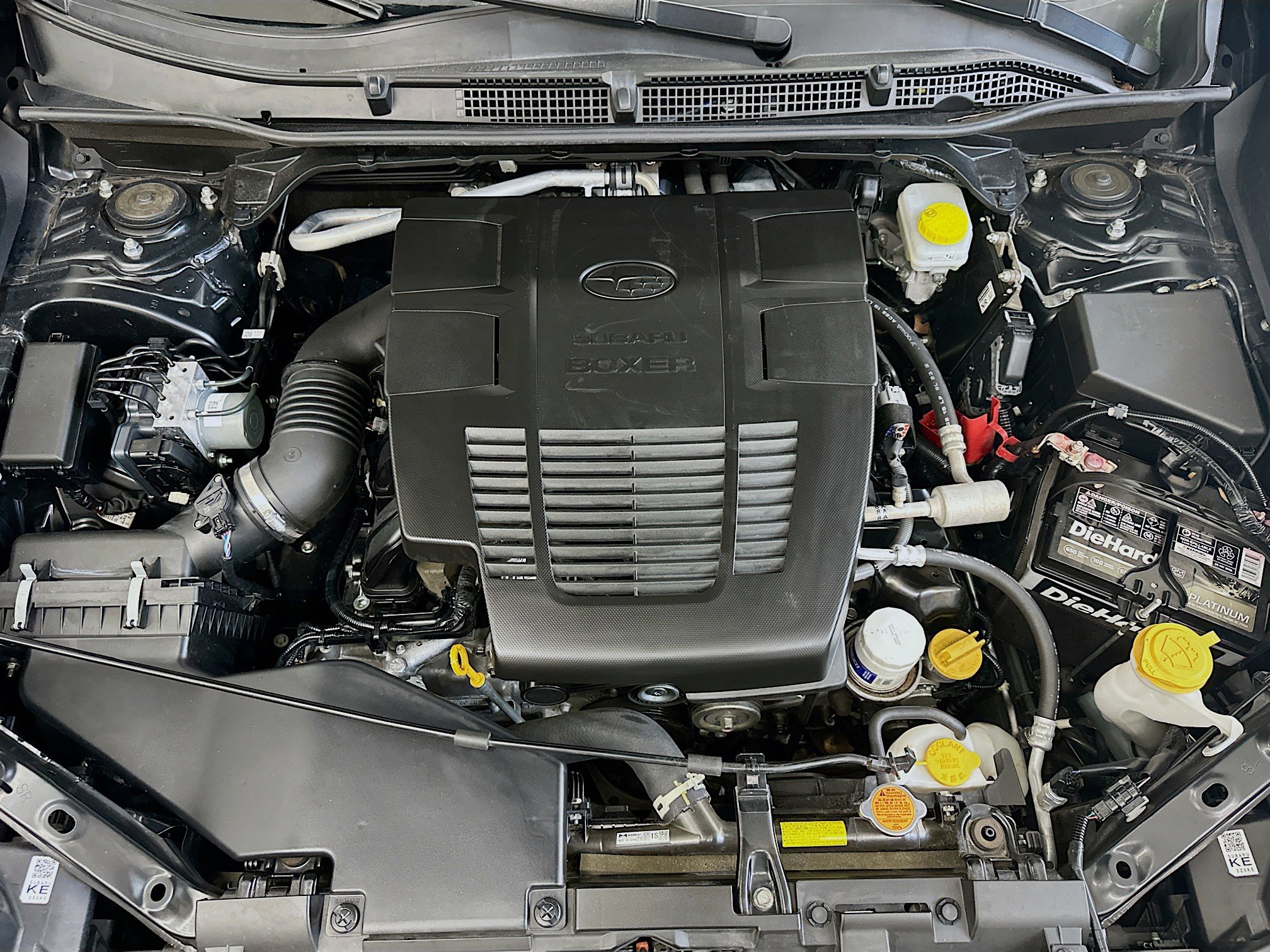 Used 2023 Subaru Forester Wilderness image 35