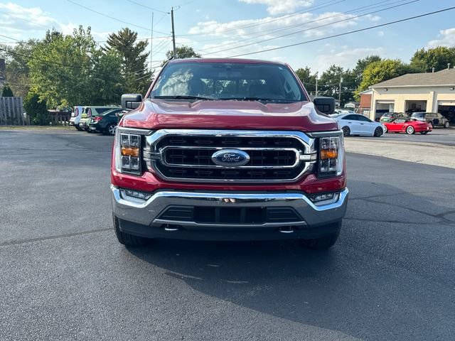 Used 2021 Ford F150 XLT w/ Equipment Group 302A High image 2